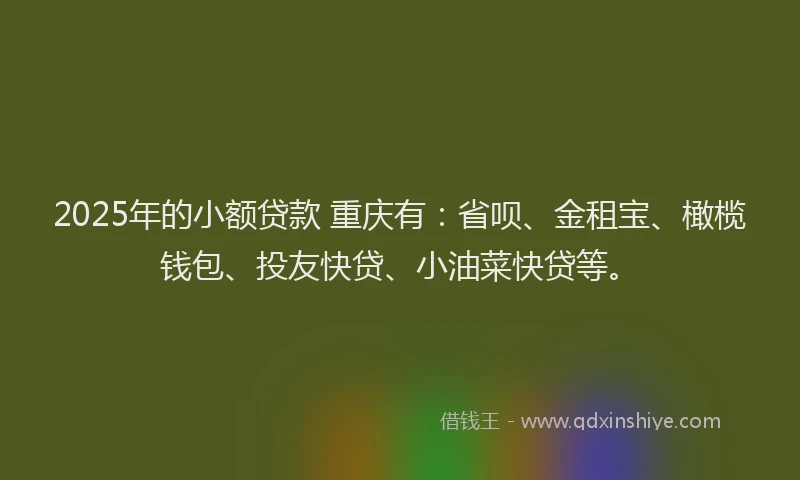 2025年的小额贷款 重庆有：省呗、金租宝、橄榄钱包、投友快贷、小油菜快贷等。