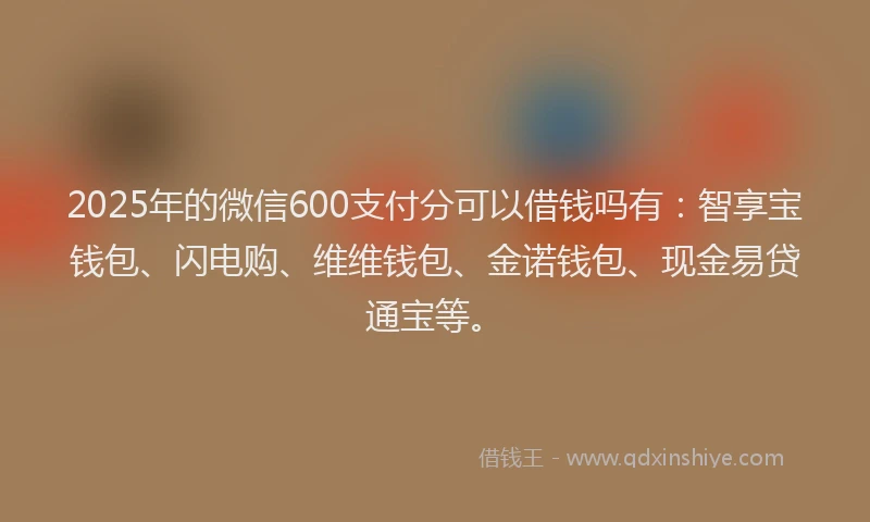 2025年的微信600支付分可以借钱吗有：智享宝钱包、闪电购、维维钱包、金诺钱包、现金易贷通宝等。