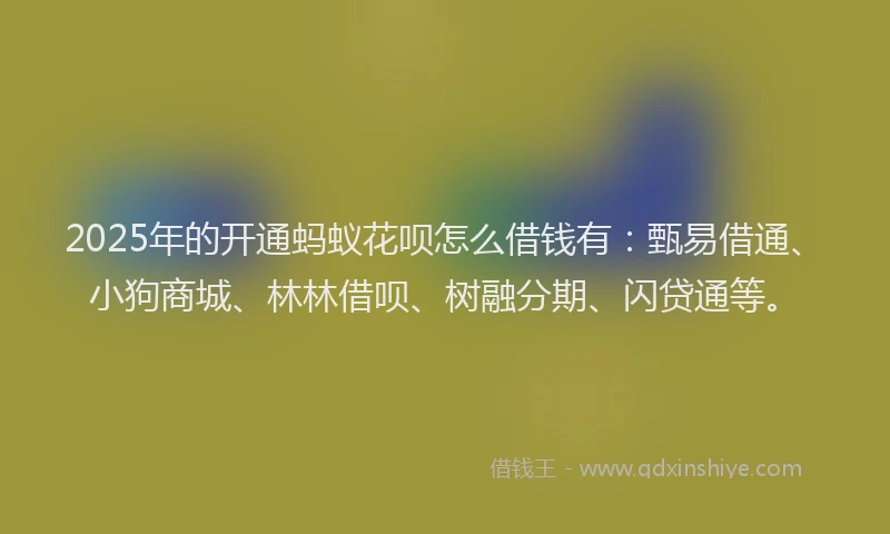 2025年的开通蚂蚁花呗怎么借钱有：甄易借通、小狗商城、林林借呗、树融分期、闪贷通等。