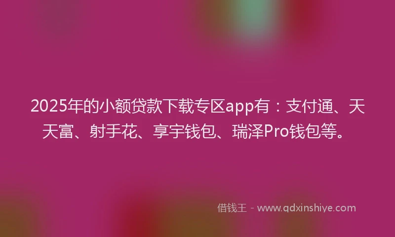 2025年的小额贷款下载专区app有：支付通、天天富、射手花、享宇钱包、瑞泽Pro钱包等。