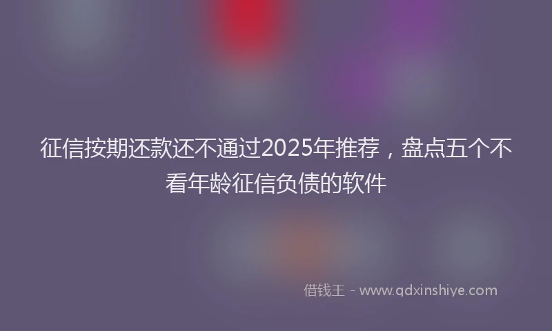 征信按期还款还不通过2025年推荐，盘点五个不看年龄征信负债的软件