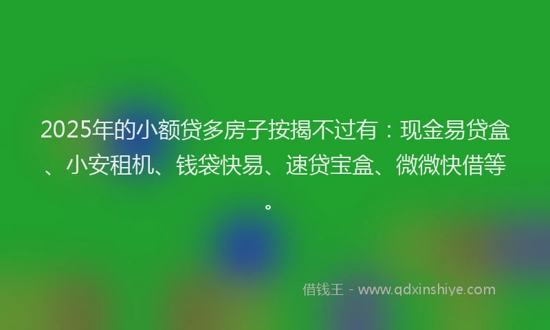 2025年的小额贷多房子按揭不过有：现金易贷盒、小安租机、钱袋快易、速贷宝盒、微微快借等。