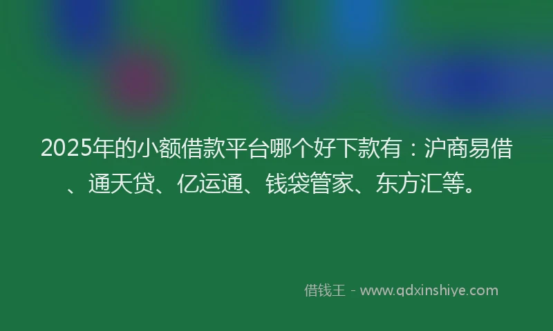 2025年的小额借款平台哪个好下款有：沪商易借、通天贷、亿运通、钱袋管家、东方汇等。