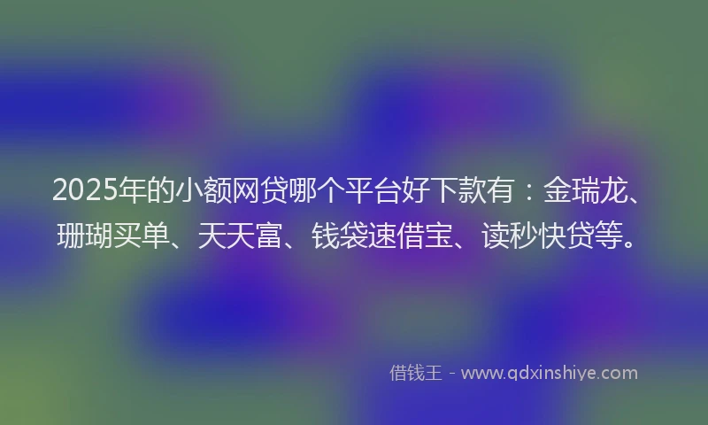 2025年的小额网贷哪个平台好下款有：金瑞龙、珊瑚买单、天天富、钱袋速借宝、读秒快贷等。
