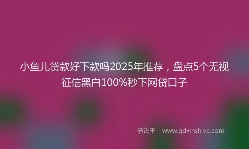 小鱼儿贷款好下款吗2025年推荐，盘点5个无视征信黑白100%秒下网贷口子