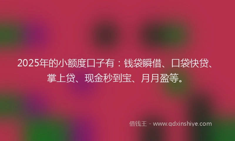 2025年的小额度口子有：钱袋瞬借、口袋快贷、掌上贷、现金秒到宝、月月盈等。