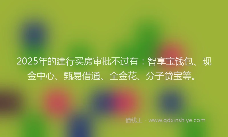 2025年的建行买房审批不过有：智享宝钱包、现金中心、甄易借通、全金花、分子贷宝等。