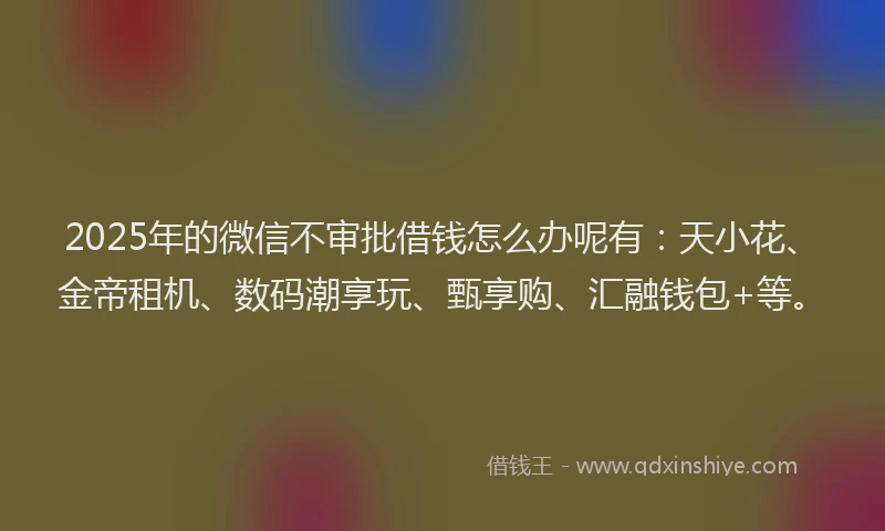 2025年的微信不审批借钱怎么办呢有：天小花、金帝租机、数码潮享玩、甄享购、汇融钱包+等。