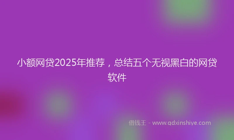小额网贷2025年推荐，总结五个无视黑白的网贷软件