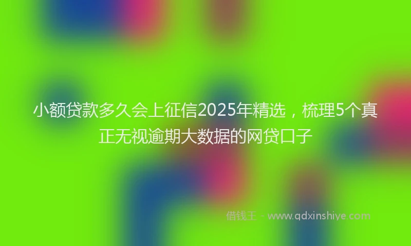 小额贷款多久会上征信2025年精选，梳理5个真正无视逾期大数据的网贷口子