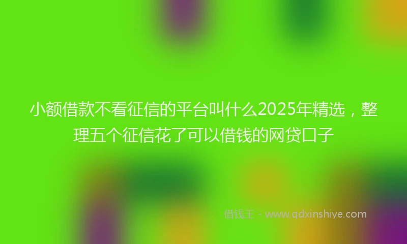 小额借款不看征信的平台叫什么2025年精选，整理五个征信花了可以借钱的网贷口子