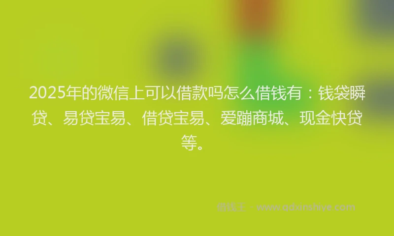 2025年的微信上可以借款吗怎么借钱有：钱袋瞬贷、易贷宝易、借贷宝易、爱蹦商城、现金快贷等。