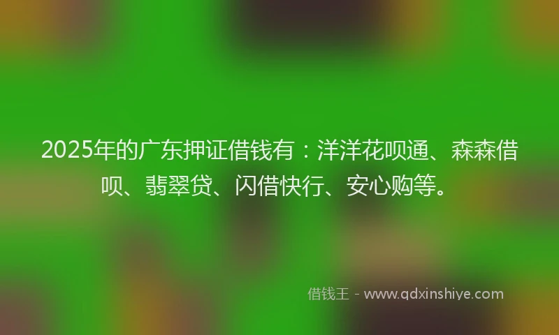 2025年的广东押证借钱有：洋洋花呗通、森森借呗、翡翠贷、闪借快行、安心购等。