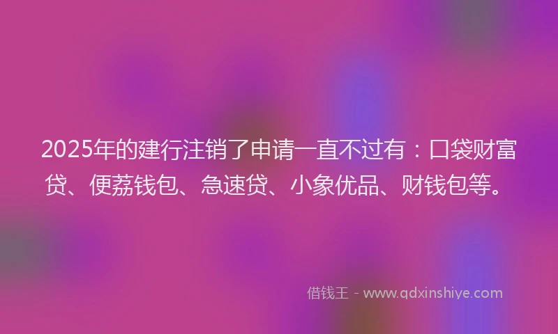 2025年的建行注销了申请一直不过有：口袋财富贷、便荔钱包、急速贷、小象优品、财钱包等。