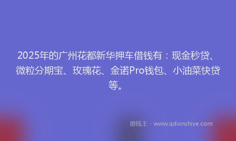 2025年的广州花都新华押车借钱有：现金秒贷、微粒分期宝、玫瑰花、金诺Pro钱包、小油菜快贷等。