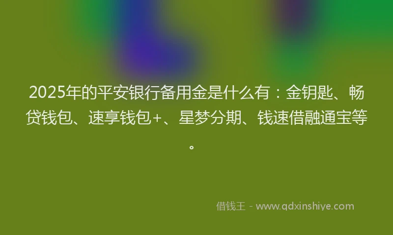 2025年的平安银行备用金是什么有：金钥匙、畅贷钱包、速享钱包+、星梦分期、钱速借融通宝等。