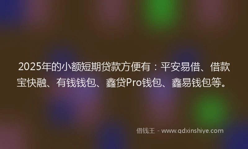 2025年的小额短期贷款方便有：平安易借、借款宝快融、有钱钱包、鑫贷Pro钱包、鑫易钱包等。