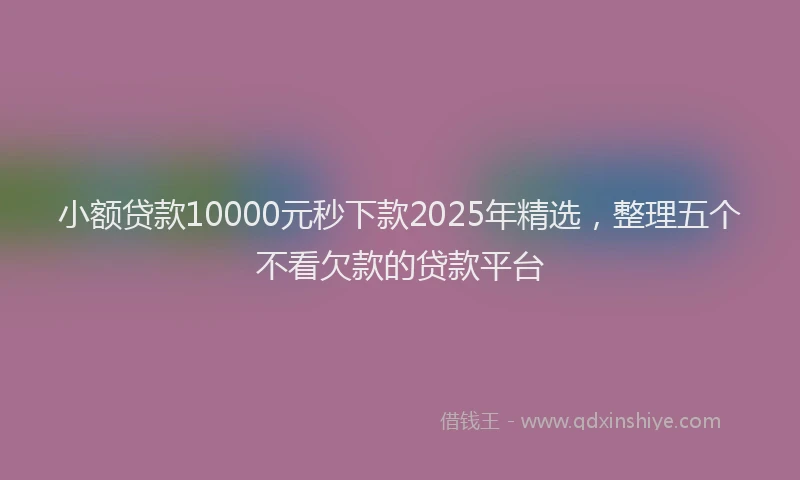 小额贷款10000元秒下款2025年精选，整理五个不看欠款的贷款平台