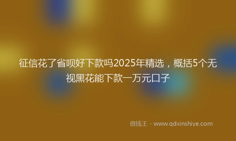 征信花了省呗好下款吗2025年精选，概括5个无视黑花能下款一万元口子