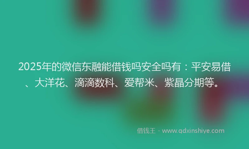 2025年的微信东融能借钱吗安全吗有：平安易借、大洋花、滴滴数科、爱帮米、紫晶分期等。