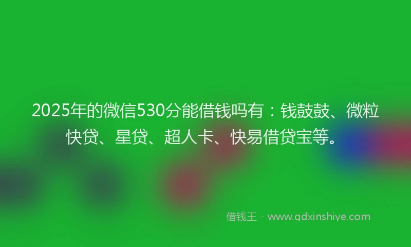 2025年的微信530分能借钱吗有：钱鼓鼓、微粒快贷、星贷、超人卡、快易借贷宝等。