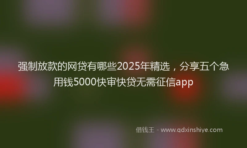 强制放款的网贷有哪些2025年精选，分享五个急用钱5000快审快贷无需征信app