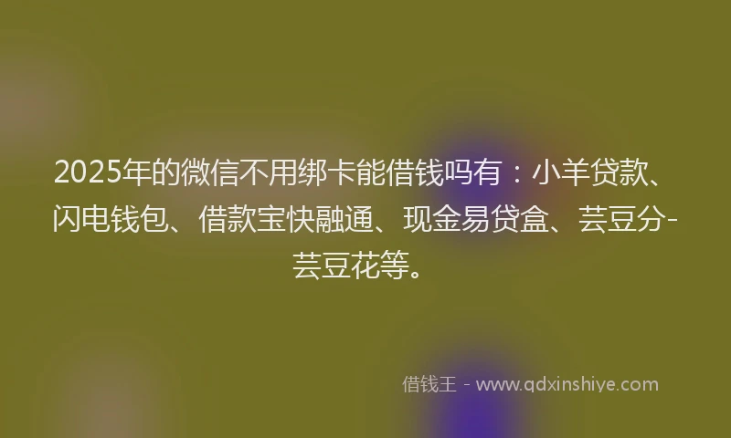 2025年的微信不用绑卡能借钱吗有：小羊贷款、闪电钱包、借款宝快融通、现金易贷盒、芸豆分-芸豆花等。