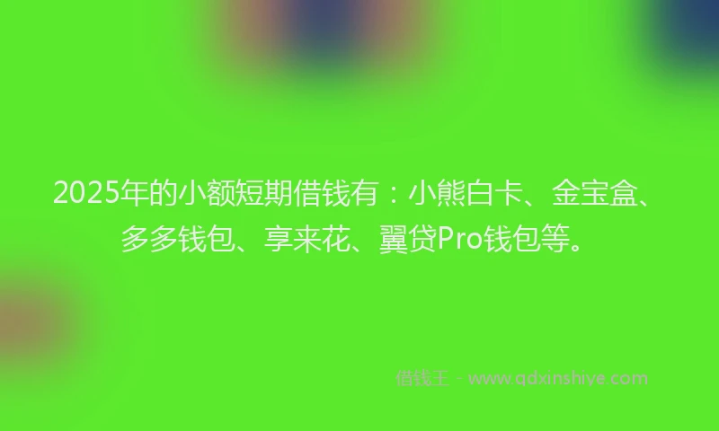 2025年的小额短期借钱有：小熊白卡、金宝盒、多多钱包、享来花、翼贷Pro钱包等。