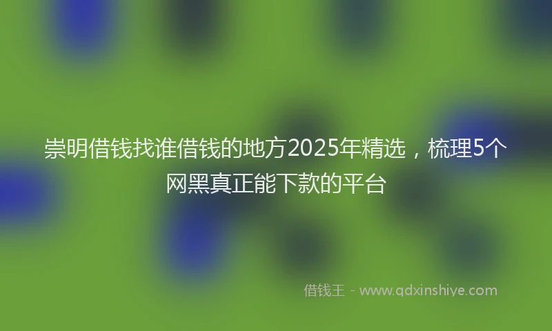 崇明借钱找谁借钱的地方2025年精选，梳理5个网黑真正能下款的平台