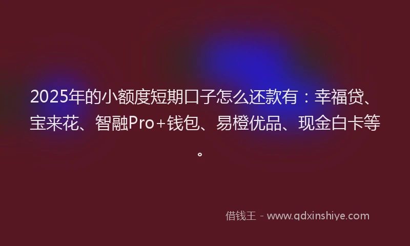 2025年的小额度短期口子怎么还款有：幸福贷、宝来花、智融Pro+钱包、易橙优品、现金白卡等。
