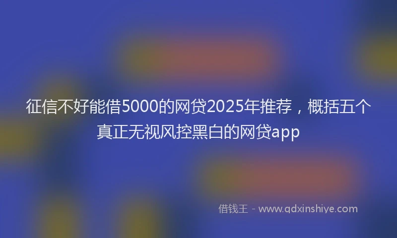 征信不好能借5000的网贷2025年推荐，概括五个真正无视风控黑白的网贷app