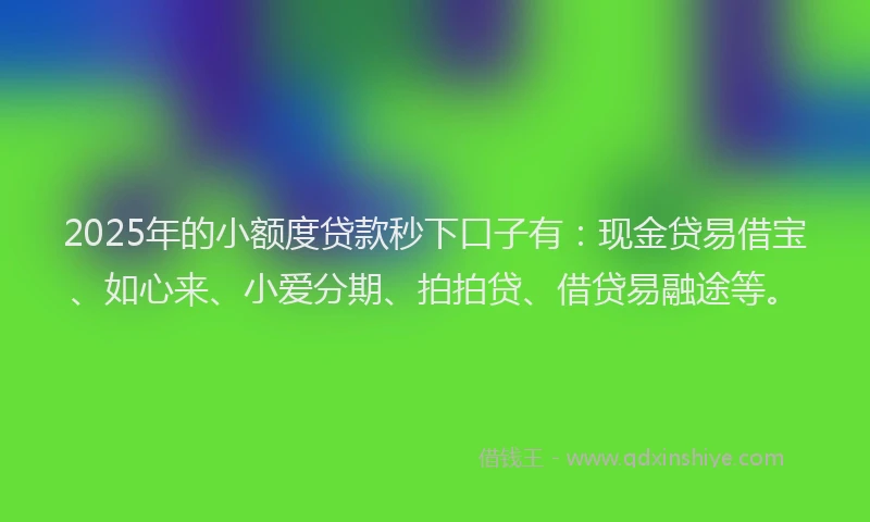 2025年的小额度贷款秒下口子有：现金贷易借宝、如心来、小爱分期、拍拍贷、借贷易融途等。
