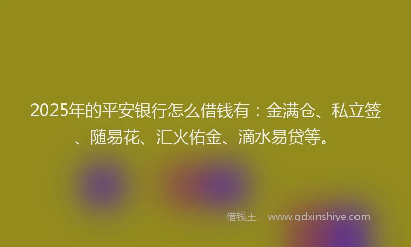2025年的平安银行怎么借钱有：金满仓、私立签、随易花、汇火佑金、滴水易贷等。