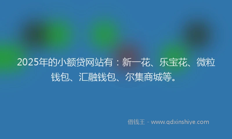 2025年的小额贷网站有：新一花、乐宝花、微粒钱包、汇融钱包、尔集商城等。