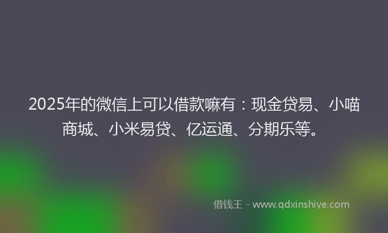 2025年的微信上可以借款嘛有：现金贷易、小喵商城、小米易贷、亿运通、分期乐等。