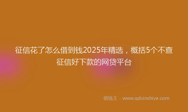 征信花了怎么借到钱2025年精选，概括5个不查征信好下款的网贷平台