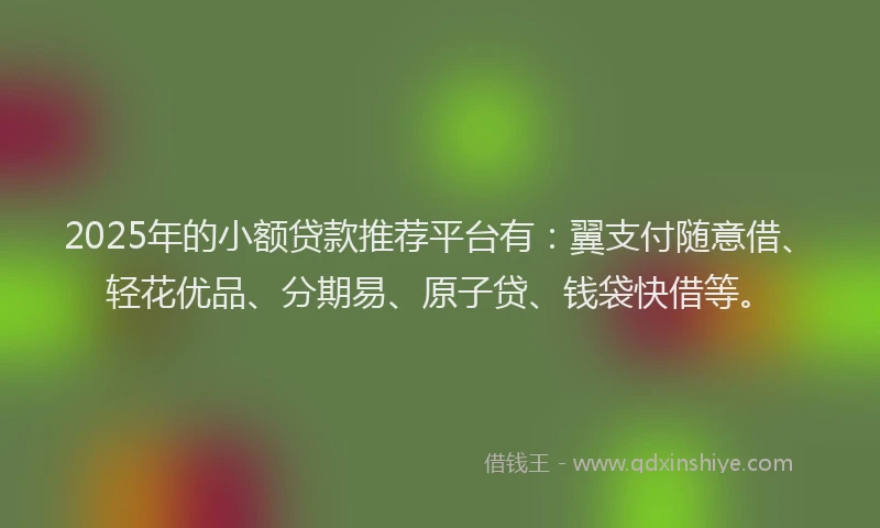 2025年的小额贷款推荐平台有：翼支付随意借、轻花优品、分期易、原子贷、钱袋快借等。