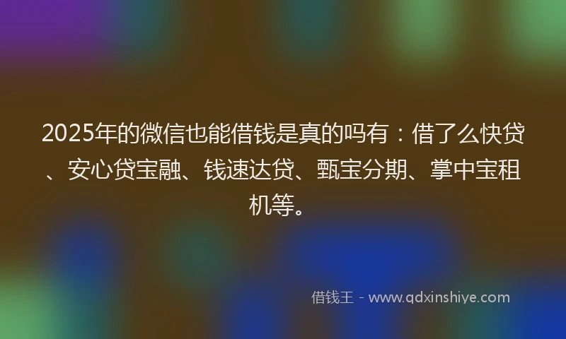 2025年的微信也能借钱是真的吗有：借了么快贷、安心贷宝融、钱速达贷、甄宝分期、掌中宝租机等。
