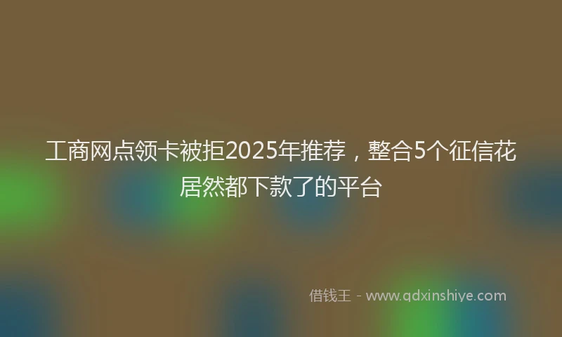 工商网点领卡被拒2025年推荐，整合5个征信花居然都下款了的平台