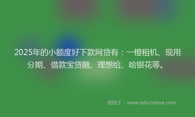 2025年的小额度好下款网贷有：一橙租机、现用分期、借款宝贷融、理想给、哈银花等。