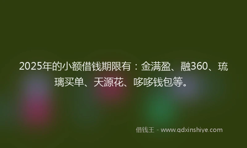 2025年的小额借钱期限有：金满盈、融360、琉璃买单、天源花、哆哆钱包等。