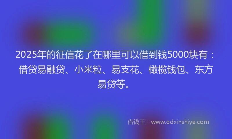 2025年的征信花了在哪里可以借到钱5000块有：借贷易融贷、小米粒、易支花、橄榄钱包、东方易贷等。