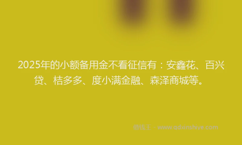 2025年的小额备用金不看征信有：安鑫花、百兴贷、桔多多、度小满金融、森泽商城等。