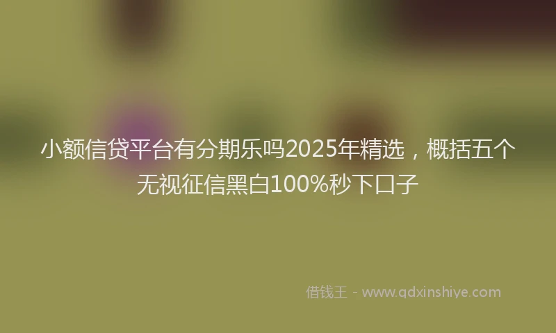小额信贷平台有分期乐吗2025年精选，概括五个无视征信黑白100%秒下口子