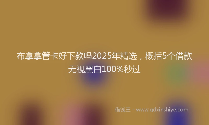 布拿拿管卡好下款吗2025年精选，概括5个借款无视黑白100%秒过