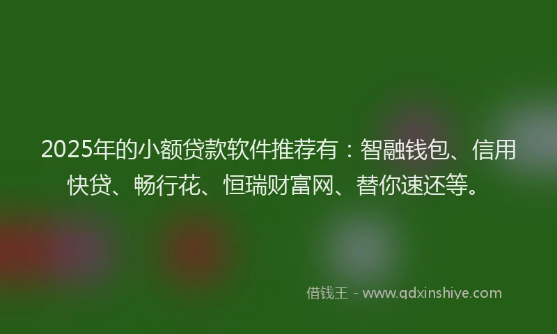 2025年的小额贷款软件推荐有：智融钱包、信用快贷、畅行花、恒瑞财富网、替你速还等。