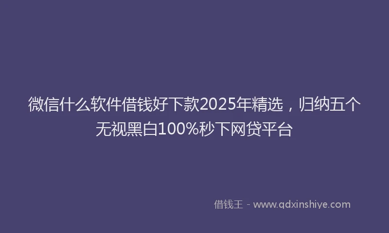 微信什么软件借钱好下款2025年精选，归纳五个无视黑白100%秒下网贷平台