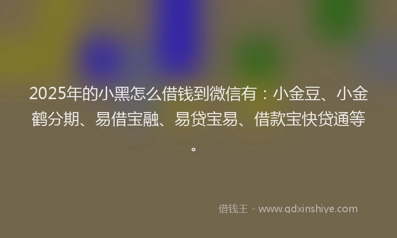 2025年的小黑怎么借钱到微信有：小金豆、小金鹤分期、易借宝融、易贷宝易、借款宝快贷通等。