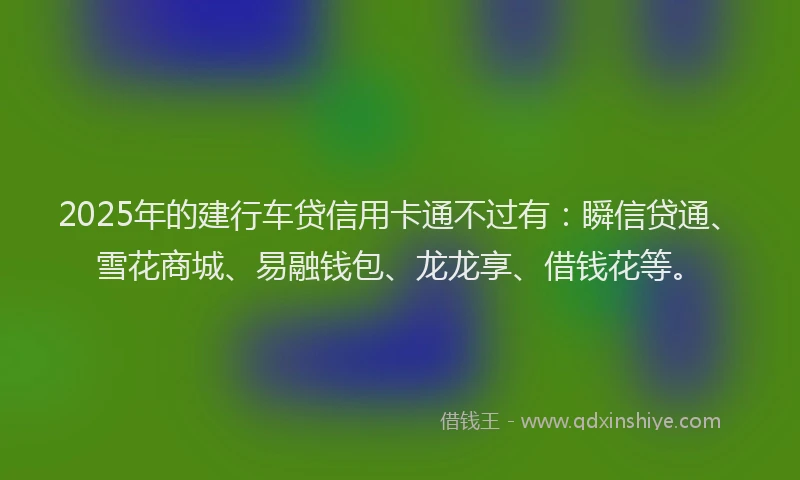 2025年的建行车贷信用卡通不过有：瞬信贷通、雪花商城、易融钱包、龙龙享、借钱花等。
