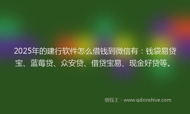 2025年的建行软件怎么借钱到微信有：钱袋易贷宝、蓝莓贷、众安贷、借贷宝易、现金好贷等。